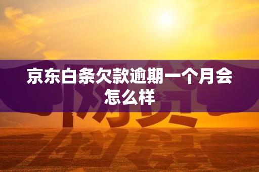京东白条欠款逾期一个月会怎么样 京东白条欠款逾期一个月会怎么样