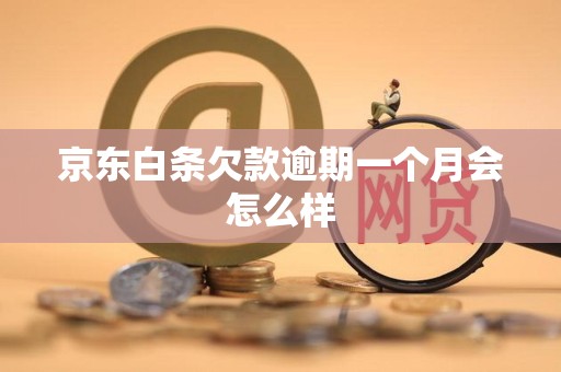 京东白条欠款逾期一个月会怎么样 京东白条欠款逾期一个月会怎么样