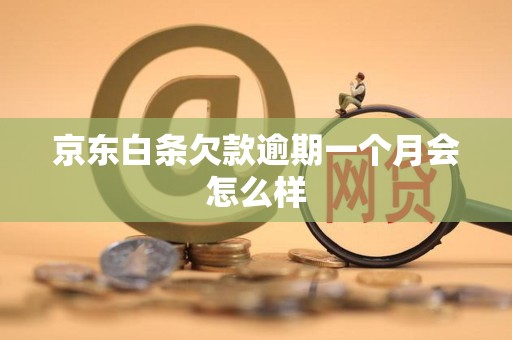 京东白条欠款逾期一个月会怎么样 京东白条欠款逾期一个月会怎么样