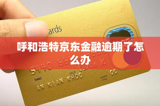 呼和浩特京东金融逾期了怎么办
