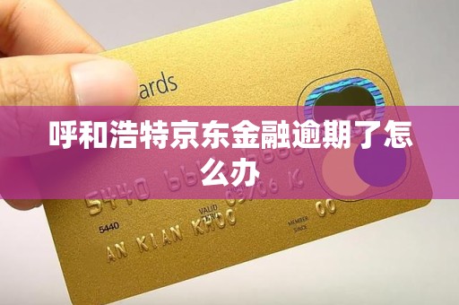 呼和浩特京东金融逾期了怎么办