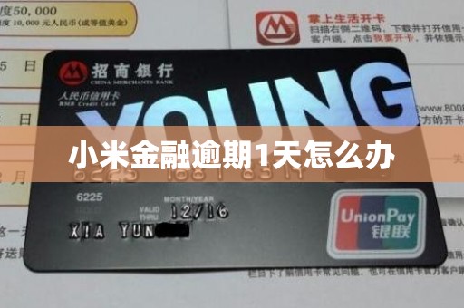 小米金融逾期1天怎么办