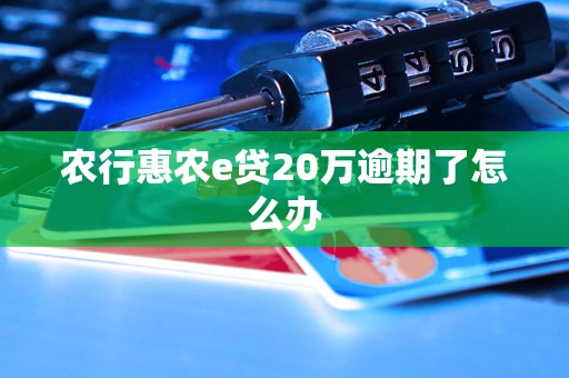 农行惠农e贷20万逾期了怎么办