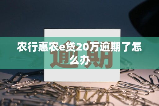 农行惠农e贷20万逾期了怎么办