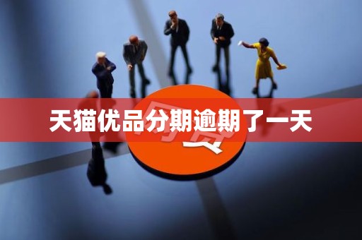 天猫优品分期逾期了一天