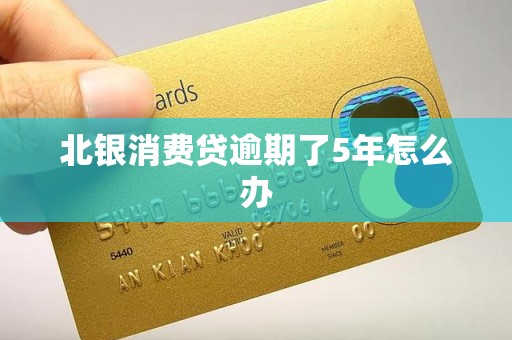 北银消费贷逾期了5年怎么办 北银消费贷逾期了5年怎么办