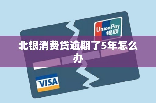 北银消费贷逾期了5年怎么办 北银消费贷逾期了5年怎么办