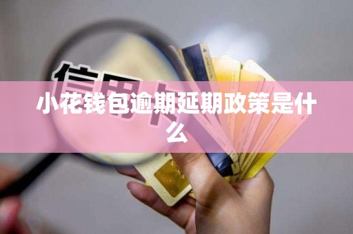 小花钱包逾期延期政策是什么