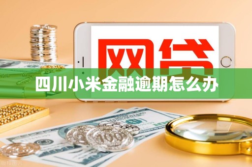 四川小米金融逾期怎么办 四川小米金融逾期怎么办