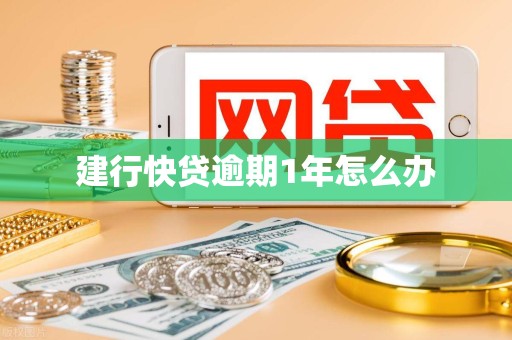 建行快贷逾期1年怎么办