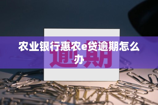 农业银行惠农e贷逾期怎么办 农业银行惠农e贷逾期怎么办