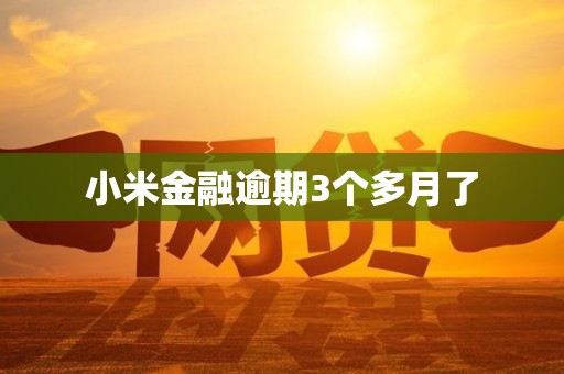小米金融逾期3个多月了