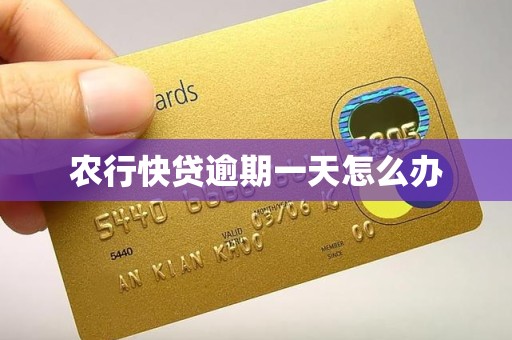 农行快贷逾期一天怎么办 农行快贷逾期一天怎么办
