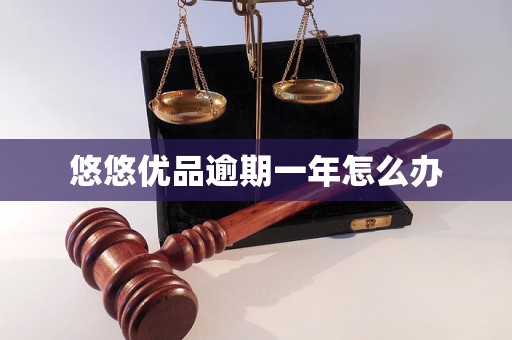 悠悠优品逾期一年怎么办