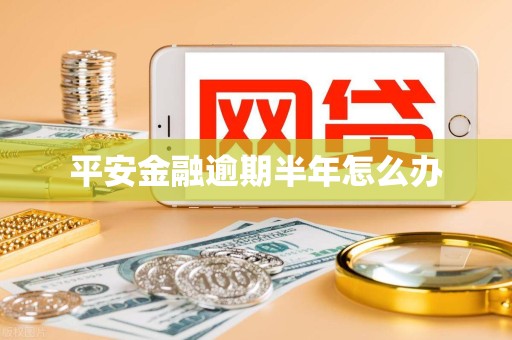 平安金融逾期半年怎么办