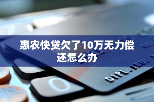 惠农快贷欠了10万无力偿还怎么办