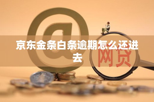 京东金条白条逾期怎么还进去