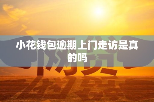 小花钱包逾期上门走访是真的吗 小花钱包逾期上门走访是真的吗