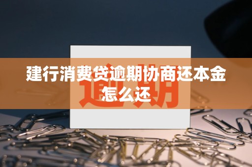 建行消费贷逾期协商还本金怎么还 建行消费贷逾期协商还本金怎么还