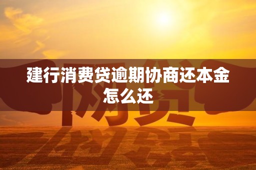 建行消费贷逾期协商还本金怎么还 建行消费贷逾期协商还本金怎么还
