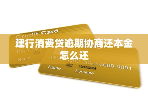 建行消费贷逾期协商还本金怎么还 建行消费贷逾期协商还本金怎么还