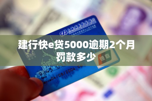 建行快e贷5000逾期2个月罚款多少