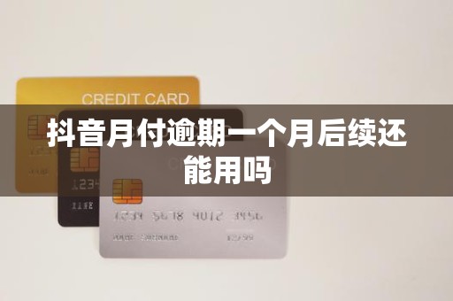 抖音月付逾期一个月后续还能用吗