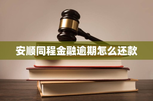 安顺同程金融逾期怎么还款