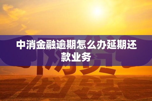 中消金融逾期怎么办延期还款业务