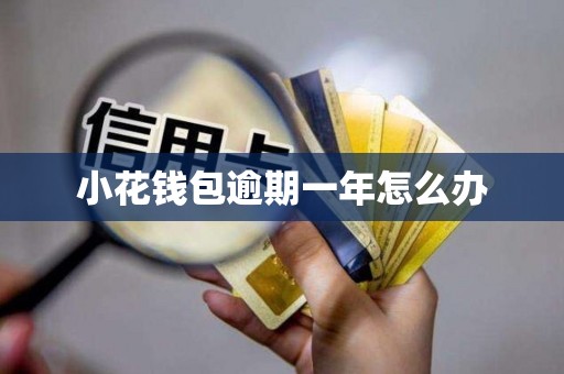 小花钱包逾期一年怎么办