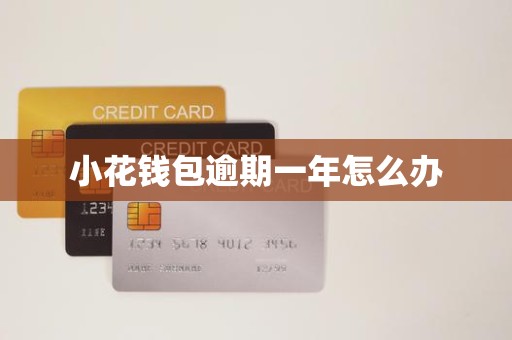 小花钱包逾期一年怎么办