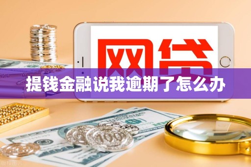 提钱金融说我逾期了怎么办