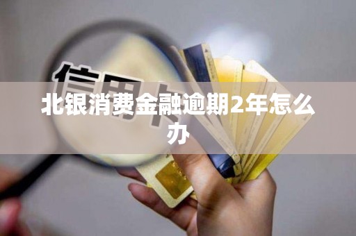 北银消费金融逾期2年怎么办 北银消费金融逾期2年怎么办