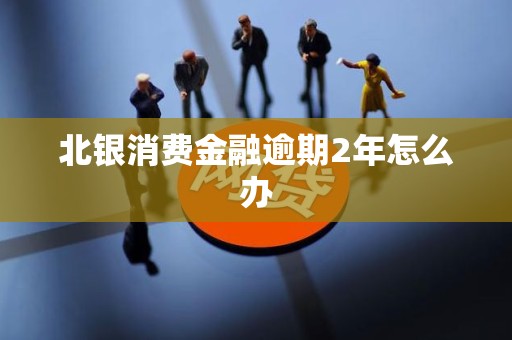 北银消费金融逾期2年怎么办 北银消费金融逾期2年怎么办