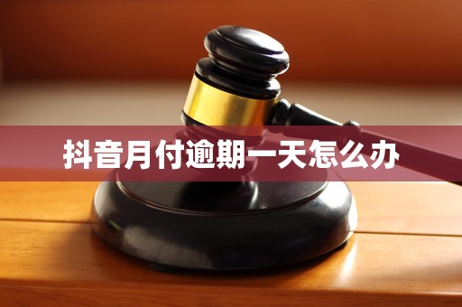 抖音月付逾期一天怎么办