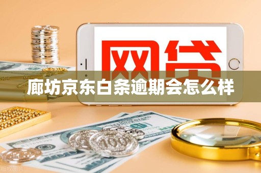 廊坊京东白条逾期会怎么样