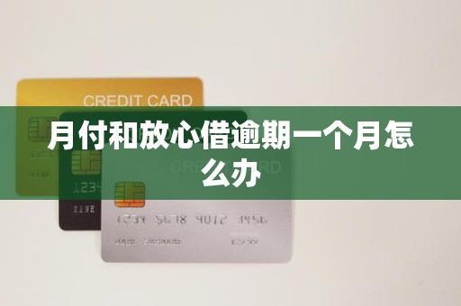 月付和放心借逾期一个月怎么办