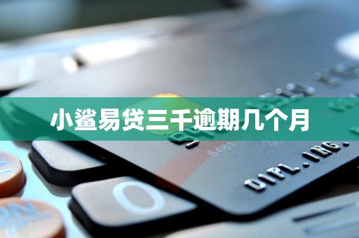 小鲨易贷三千逾期几个月
