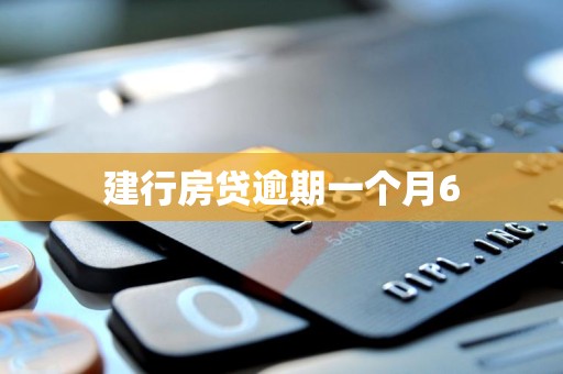 建行房贷逾期一个月6 建行房贷逾期一个月6