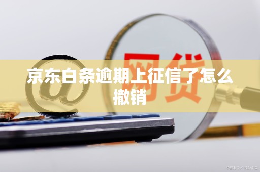 京东白条逾期上征信了怎么撤销 京东白条逾期上征信了怎么撤销