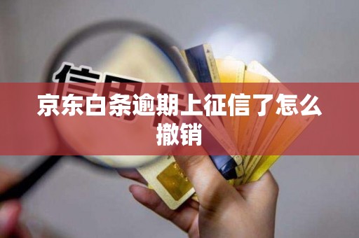 京东白条逾期上征信了怎么撤销 京东白条逾期上征信了怎么撤销