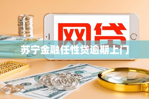 苏宁金融任性贷逾期上门 苏宁金融任性贷逾期上门