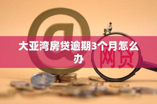 大亚湾房贷逾期3个月怎么办