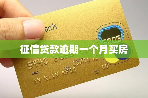 征信贷款逾期一个月买房 征信贷款逾期一个月买房