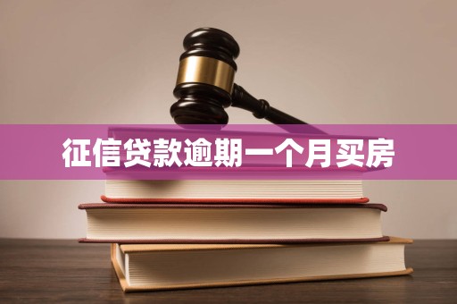 征信贷款逾期一个月买房 征信贷款逾期一个月买房