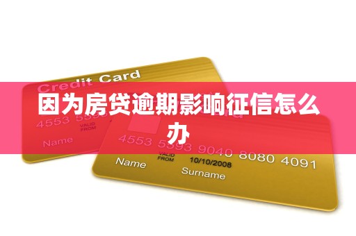 因为房贷逾期影响征信怎么办