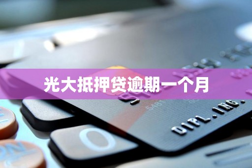 光大抵押贷逾期一个月