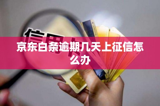 京东白条逾期几天上征信怎么办