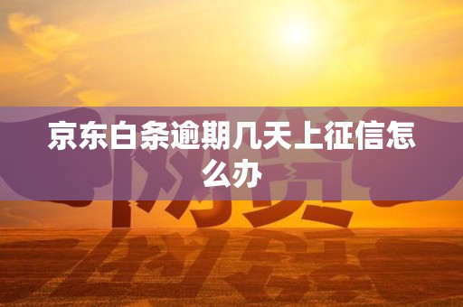 京东白条逾期几天上征信怎么办