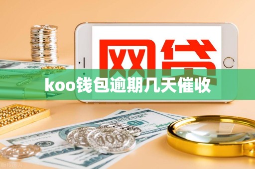 koo钱包逾期几天催收